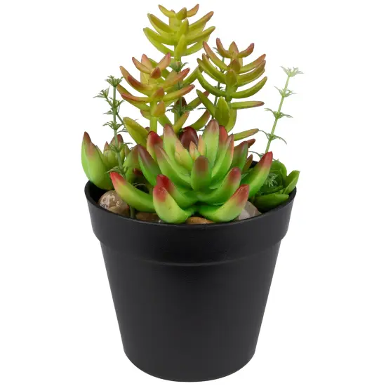 Northlight Artificial Mixed Succulent Plant Arrangement - 8" Green {4}