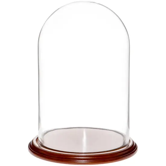 Plymor 9.75" x 15" Glass Display Dome Cloche Walnut Veneer {1}