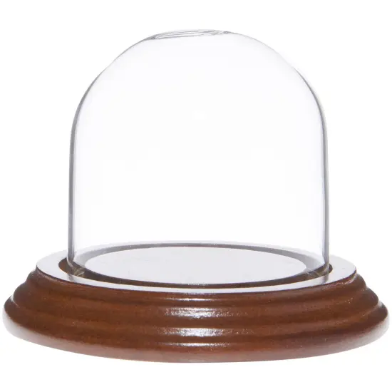 Plymor 2.5" x 2.5" Small Glass Display Dome Cloche Walnut Veneer {1}