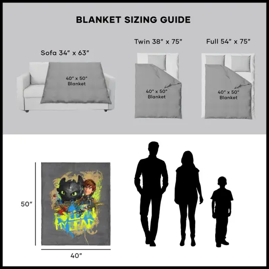Universal How to Train Your Dragon Silk Touch Throw Blanket Follow My Lead {6}