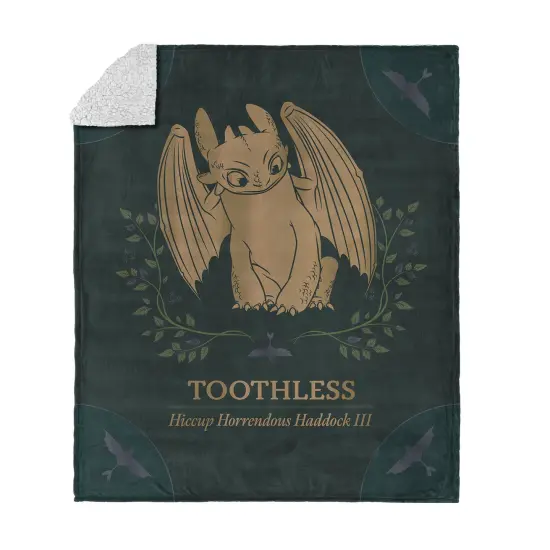 Universal How to Train Your Dragon Silk Touch Sherpa Throw Blanket Hiccup and Toothless {1}