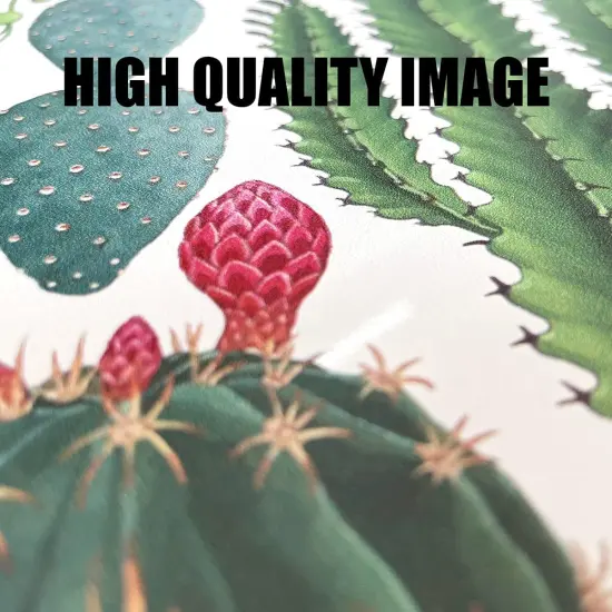 Vintage Stay Positive Skull Sign Metal {4}