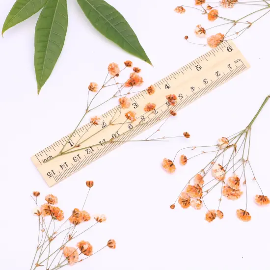 30 Pcs Orange Small Dried Babys Breath Flowers {2}