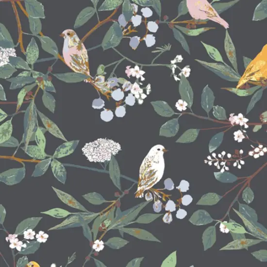 Melodic Plumage in Night (ple96100) | Plentiful | Katarina Roccella | Art Gallery {1}