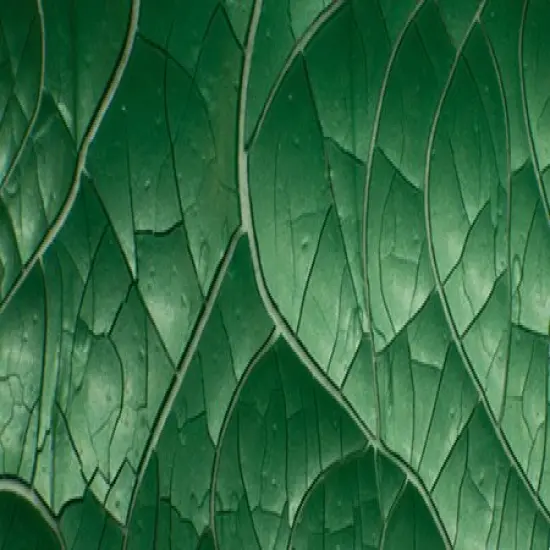 Nuvo Crackle Mousse {3}