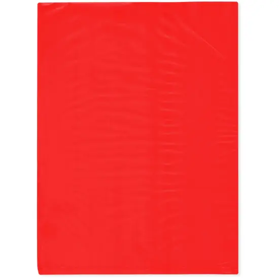 Plymor 9" x 12", Red 2 Mil Flat Open Plastic Poly Bags {1}