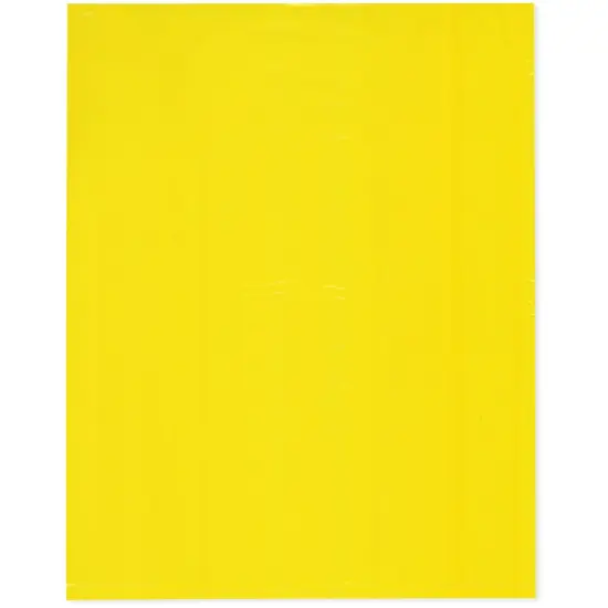 Plymor 12" x 15", Yellow 2 Mil Flat Open Plastic Poly Bags {1}