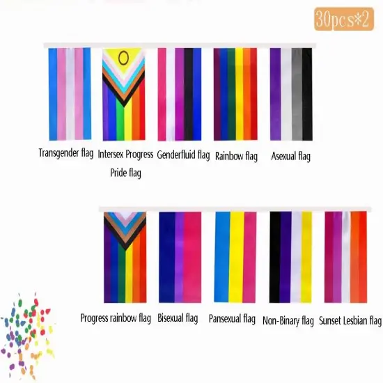 2 Set All Pride Rainbow Gay Flags Banner String Bunting LGBTQ Decoration,64 Feet 60 Pcs {2}