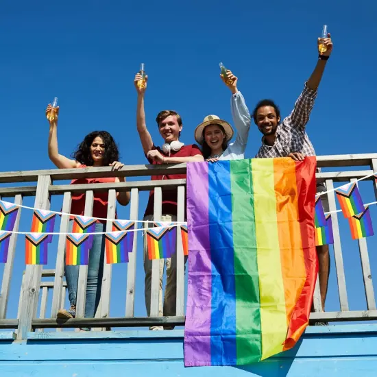 32.8ft 38 Pcs Progress Pride Pennant Flags Banner,Gay LGBTQ Rainbow Pride Banner Flag, Colorful Stripes Bunting Banner for Pride Decorations, Pride Month, Party, Restaurants, Garden Decor {4}