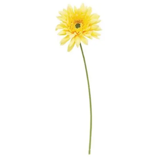 Blooming Daisy Stem Dark Yellow {1}