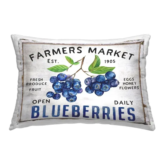 Farmers Market Bluberries Decorative Printed Throw Pillow Design by Creatif Belle, 14 x 7 x 20 {1}