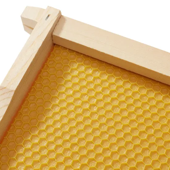 Honey Keeper Complete Deep Hive Body Kit, Painted and Assembled Beehive with 10-Frames White {5}