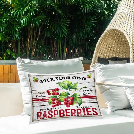 Pick Your Own Raspberries Outdoor Printed Pillow Design by Creatif Belle, 14 x 7 x 20 {2}