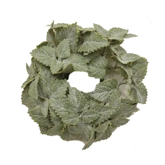 Matte Mint Candle Ring with Neutral Green Mint Leaves for Candle Displays and Mini Wreath Decor {1}