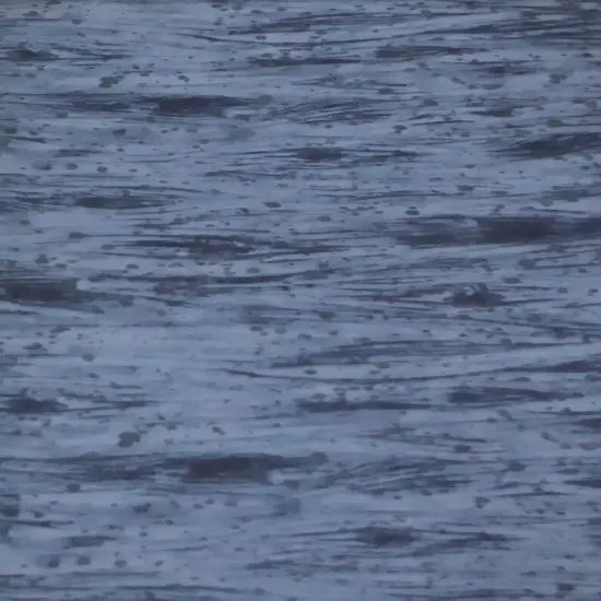 Dark Blue Wood Grain Cotton Fabric by the 48 Inch Long {1}