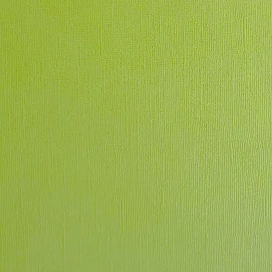 CHARTREUSE - Textured 12x12 Cardstock - Encore Paper {1}