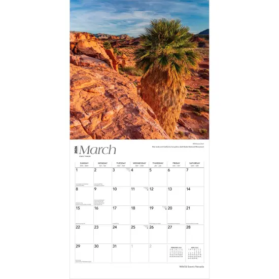 Nevada Wild & Scenic | 2026 12 x 24 Inch (Hanging) Monthly Square Wall Calendar | Plastic-Free {3}