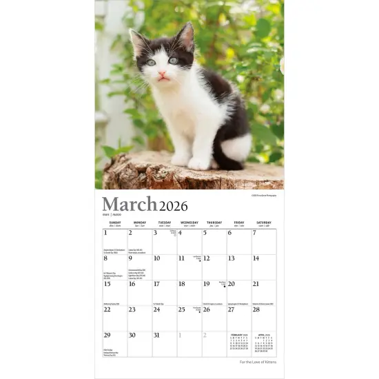 For the Love of Kittens | 2026 7 x 14 Inch (Hanging) Monthly Mini Wall Calendar | Foil Stamped Cover {3}