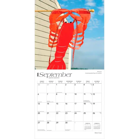 Maine Coast | 2026 12 x 24 Inch (Hanging) Monthly Square Wall Calendar | Plastic-Free {4}