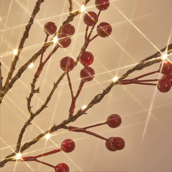 Lighted Red Berry Garland 120 LED {3}