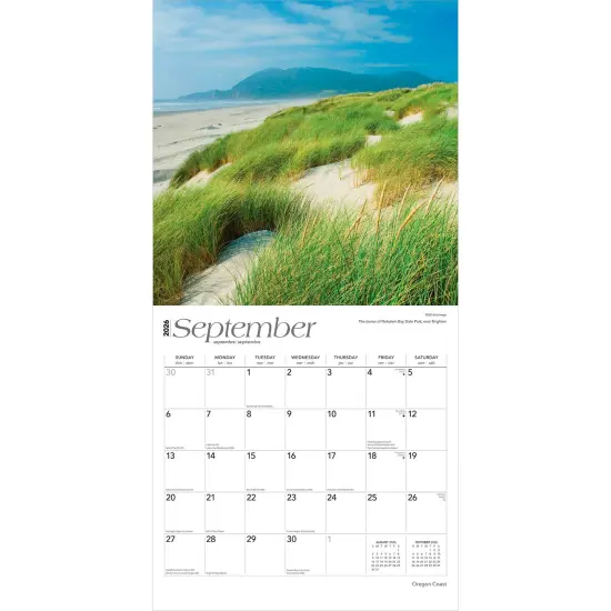 Oregon Coast | 2026 12 x 24 Inch (Hanging) Monthly Square Wall Calendar | Plastic-Free {4}