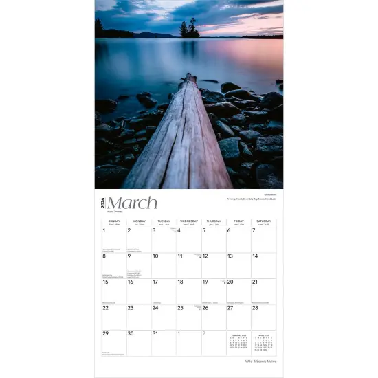 Maine Wild & Scenic | 2026 12 x 24 Inch (Hanging) Monthly Square Wall Calendar | Plastic-Free {3}