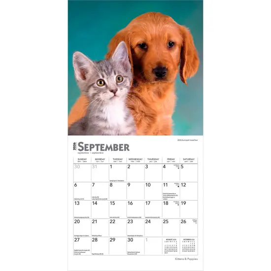 Kittens & Puppies | 2026 7 x 14 Inch (Hanging) Monthly Mini Wall Calendar {4}