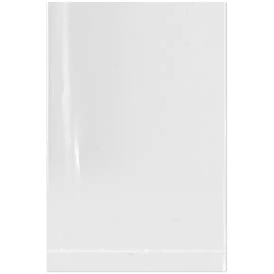 Plymor 2" x 3", 4 Mil Flat Open Clear Plastic Poly Bags {1}
