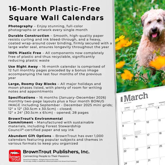 Soft Coated Wheaten Terriers | 2026 12 x 24 Inch (Hanging) Monthly Square Wall Calendar | Plastic-Free {6}