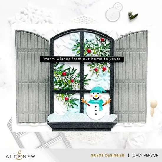 Snowy Stars 3D Embossing Folder {2}