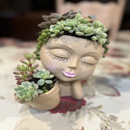 Face Plant Pot Double Flower Pots for Indoor Outdoor Plants Resin Head Planter Lady Face Plant Pots Garden Decoration Planters {5}