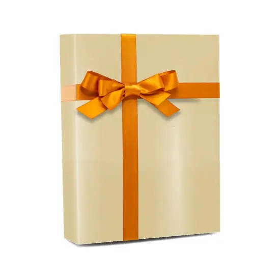 Eye Catching Solid Color Gift Wrap Roll 26" x 417' {5}