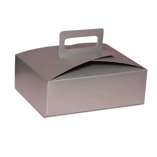 Handled Flat Take-Out Container Sturdy 9" x 7" x 3" {2}