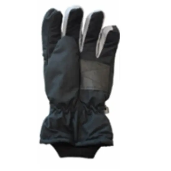 Solid Wing Assorted Ski Gloves for Winter Sports {4}