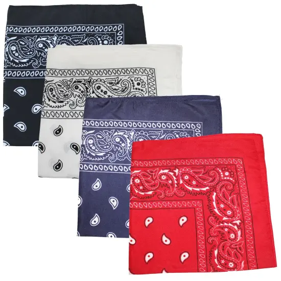 Mechaly Paisley 100% Polyester Unisex Bandanas - 4 Pack {1}