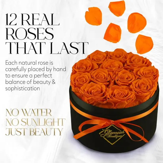 12 Real Preserved Roses in a Velvet Black Box {2}