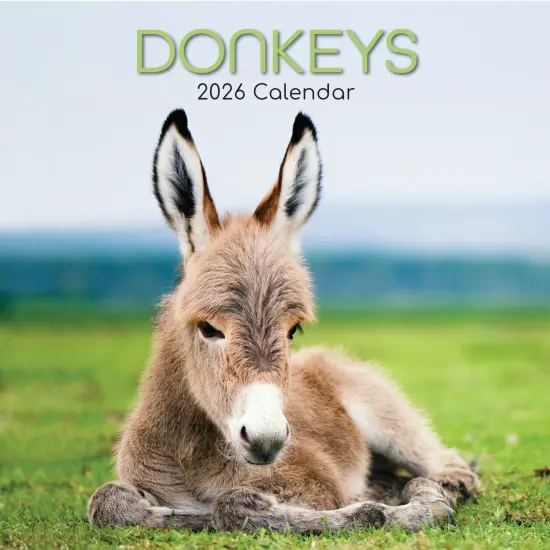 The Gifted Stationary 2026 Square Wall Calendar, Donkeys, 16-Month Animals Theme Hanging Calendar with 180 Reminder Stickers, Month Planner for Home, or Creative Spaces, 12x12 In Multicolor {1}