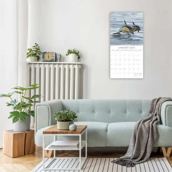 The Gifted Stationary 2026 Square Wall Calendar, Dolphins, 16-Month Animals Theme Hanging Calendar with 180 Reminder Stickers, Month Planner for Creative Spaces, 12x12 In Multicolor {2}