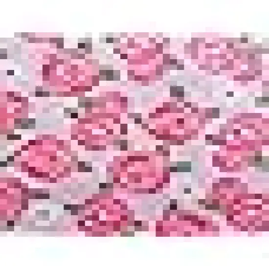 Precut Quilt Cotton Fabric Squares for Quilting Clearance {4}