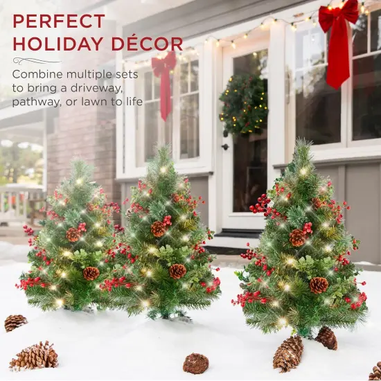 24.5in Pre-Lit Outdoor Christmas Trees, Battery Operated Holiday Pair with LED Lights Frosted {10}