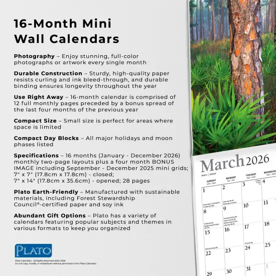 National Parks | 2026 7 x 14 Inch (Hanging) Monthly Mini Wall Calendar | Foil Stamped Cover {6}