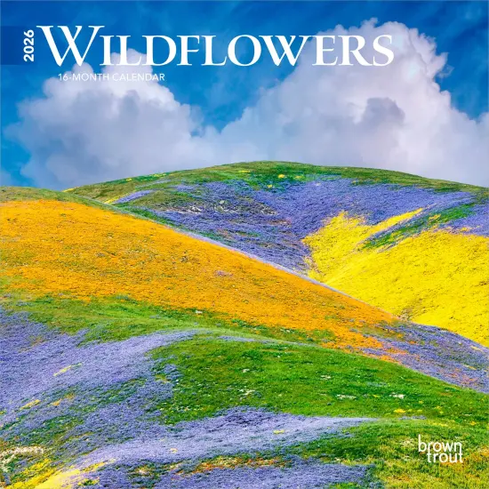 Wildflowers | 2026 7 x 14 Inch (Hanging) Monthly Mini Wall Calendar {1}
