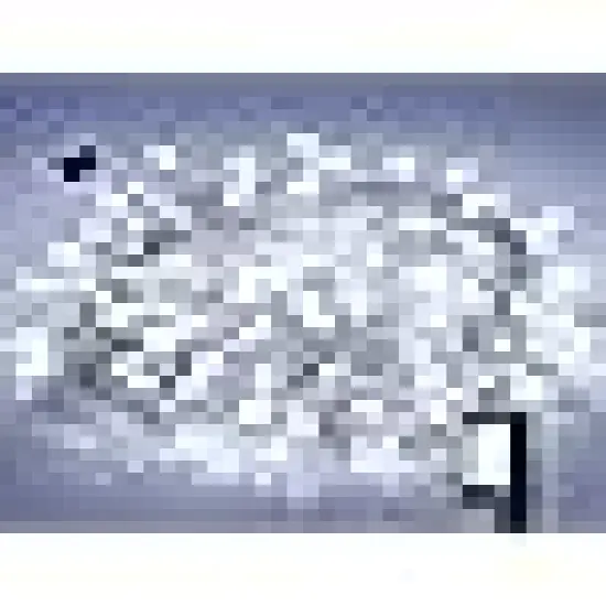 Modes LED White String Lights Indoor for Tree Wedding Party {6}