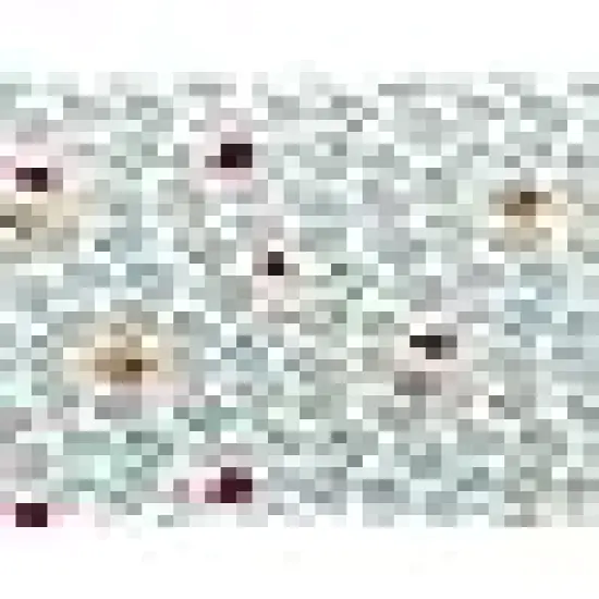 Layer Cake Fabric for Quilting {6}