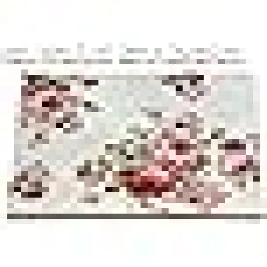 inch Squares Layer Cake Print Floral Fabrics {2}