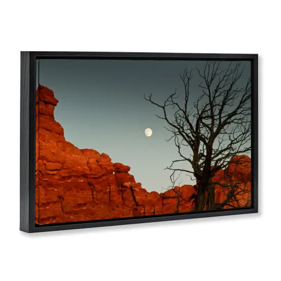 Stupell Industries Full Moon Canyon Photography Floating Frame By Jadei Graphics {3}