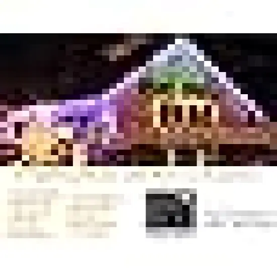 Christmas Lights for Tree Yard Party {4}