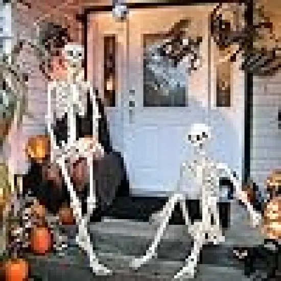 Realistic Life Size Skeleton with Movable Joints for Halloween {4}