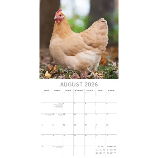 The Gifted Stationary 2026 Square Wall Calendar, Chickens, 16-Month Animals Theme Hanging Calendar with 180 Reminder Stickers, Month Planner for Home, or Creative Spaces, 12x12 In Multicolor {3}