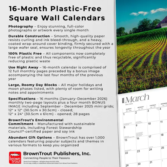 Show Me State | Missouri Places | 2026 12 x 24 Inch (Hanging) Monthly Square Wall Calendar | Plastic-Free {6}